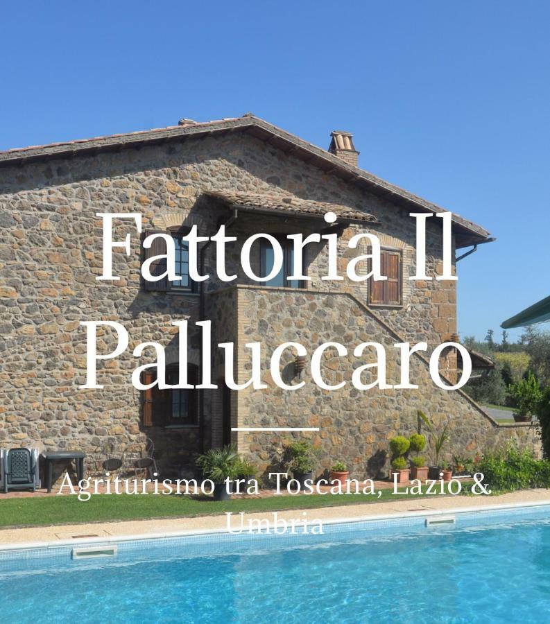 Il Palluccaro Acquapendente Exterior foto